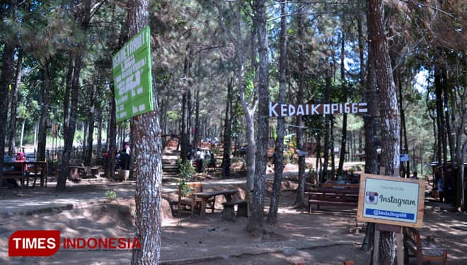 Pemuda di Kediri Sulap Hutan Pinus Jadi Food court Outdoor
