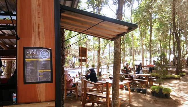 Wisata Hutan Pinus Plapar Mampu Berdayakan Warga Sekitar