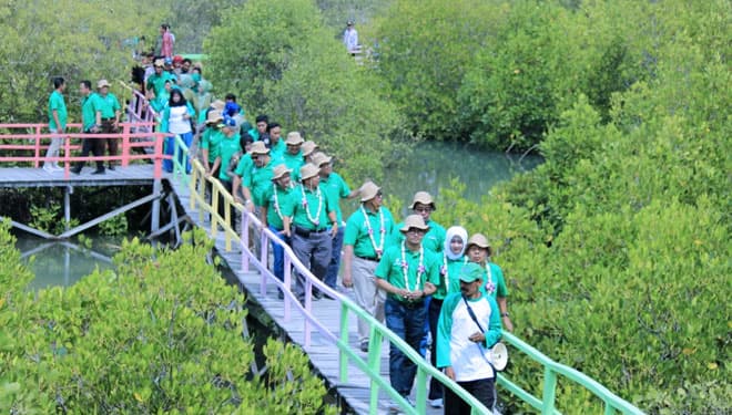 Taman Pendidikan Mangrove Jadi Ikon Kabupaten Bangkalan