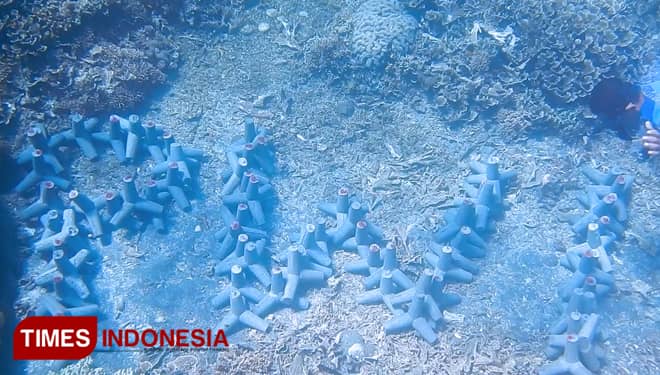 Keren, Mahasiswa Poliwangi Banyuwangi Bangun Taman Laut Berteknologi Ramah Lingkungan
