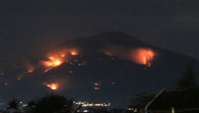 Gunung Arjuno Terbakar Parah Bak Berselimutkan Api