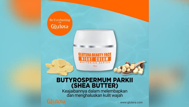 Keajaiban Shea Butter untuk Kecantikan dan Kesehatan Kulit