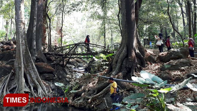 Wisata Tirto Ageng di Probolinggo, Tempat Asyik Buat Refreshing