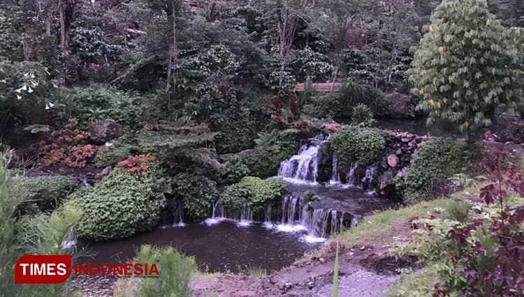 Nikmati Green Paradise Pagar Alam, Destinasi Asyik untuk Libur Natal dan Tahun Baru