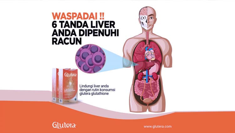 6 Tanda Liver Anda Dipenuhi Racun