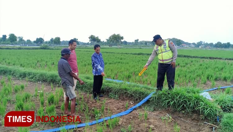 Lagi, Petani di Gresik Meninggal Tersetrum Jebakan Tikus