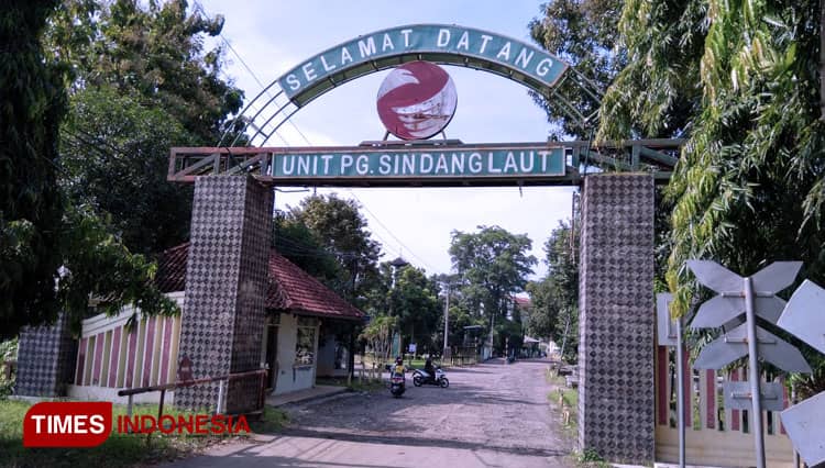 Pabrik Gula Sindang Laut Cirebon Tutup, Petani Tebu Makin Terancam