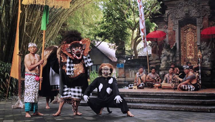 Bali Safari Park Suguhkan Barong Bangkung di Hari Raya Galungan dan Kuningan