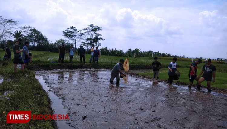 Desa Lengkong Berdayakan Kelompok Pemuda Tani Garap Lahan Milik Desa