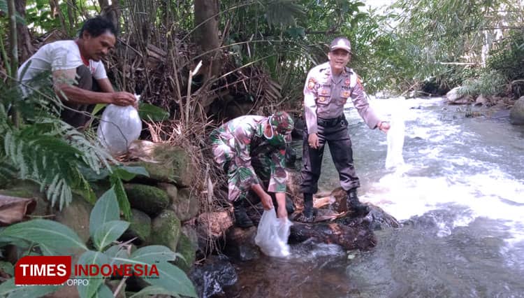 40 Ribu Ikan Mujair dan Wader Dilepas di Sungai Rawa Gintung Banjarnegara