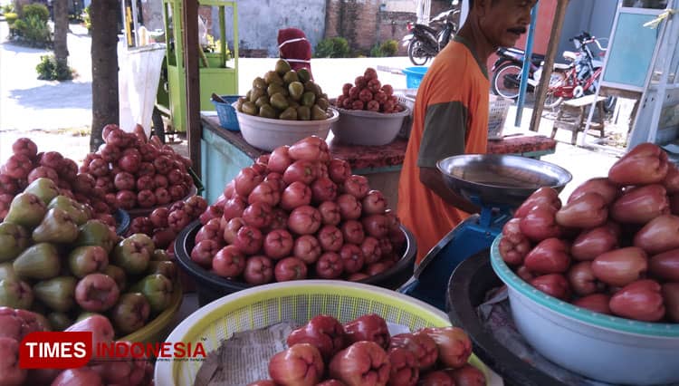 Untung Mengalir dari Jambu Air, Petani di Demak Ubah Sawah jadi Kebun Jambu