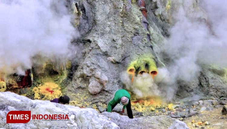 Sempat Ditutup, Aktivitas Tambang Belerang di Kawah Ijen Kembali Normal