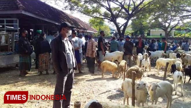 Pasar Hewan di Gresik Ramai, Pengawasan Protokol Kesehatan Ditingkatkan