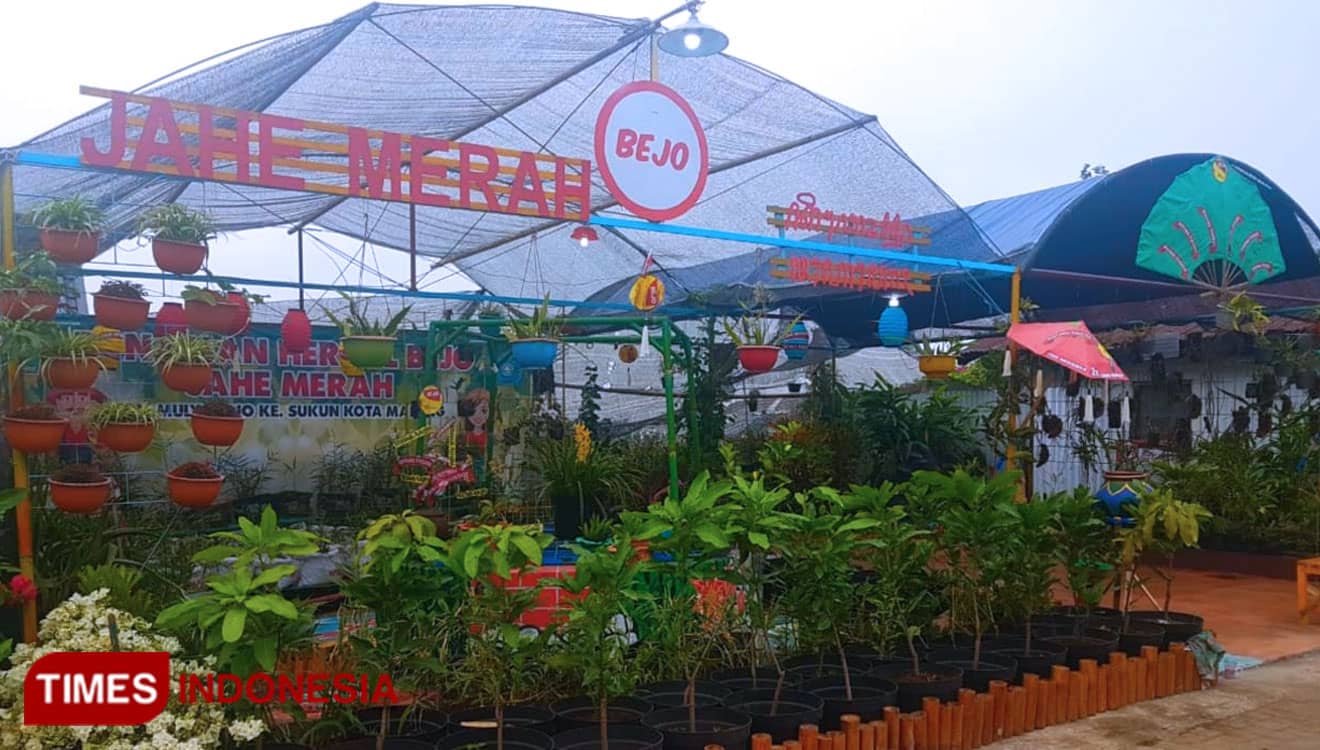 Kampung Jahe Merah Wujudkan Kota Malang menjadi Kota Herbal