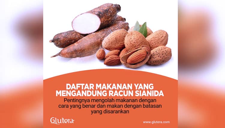 Daftar Makanan yang Mengandung Racun, Termasuk Racun Sianida