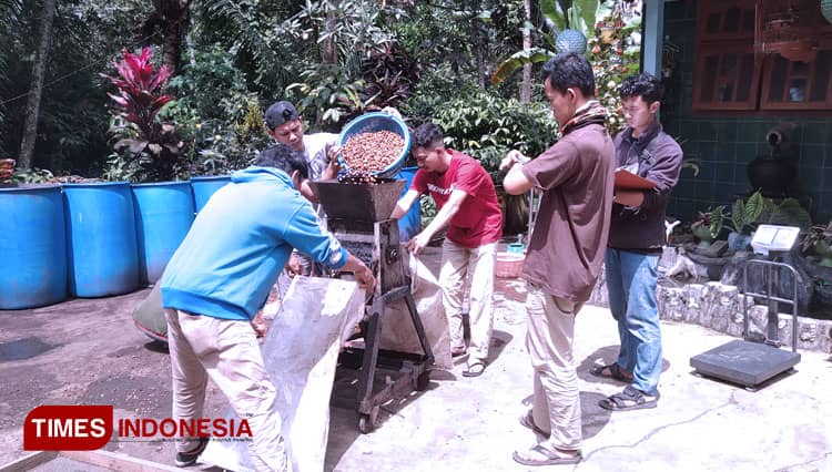 Petani Kopi di Desa Telemung Banyuwangi Dikenalkan Metode Honey Process