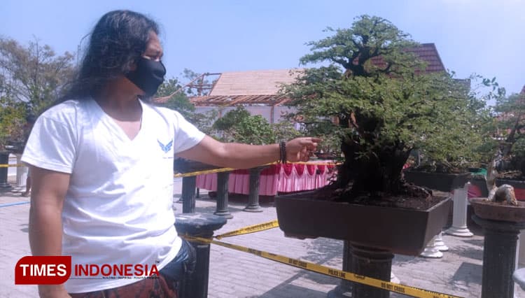 Bonsai Terbaik se Indonesia Ramaikan Pameran Bonsai Tingkat Nasional di Ngawi