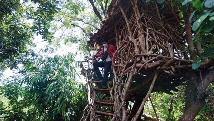 Omah Pang, Destinasi Unggulan Desa Wisata Nongkosawit
