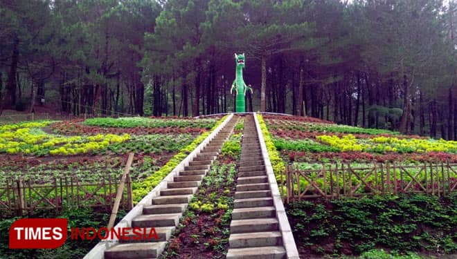 Book Your Slot at Kanaga Hill, a Nice Campsite in Majalengka
