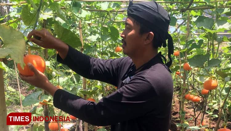 Menduplikasi Sobo Genting VBT, Wujud Ideal Kampung Tangguh