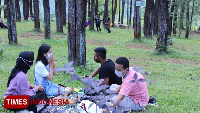 Pesona Hutan Pinus Nongko Ijo Madiun, Udaranya Segar dan Kawasannya Bersih
