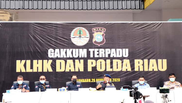 Kementerian LHK RI Bersama Polda Riau Bongkar Sawmill Illegal