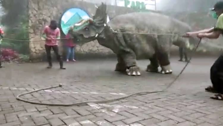 Video Dinosaurus Viral, Pengelola Mojosemi Forest Park Magetan Ajak Warga Berkunjung