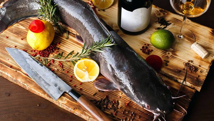 Tak Perlu Jijik, Ini Cara Praktis Hilangkan Lendir Ikan Lele