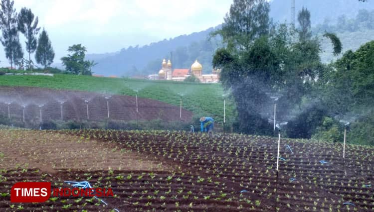 Mengunjungi Desa Sumberbrantas Kota Batu, Negeri di Atas Awan