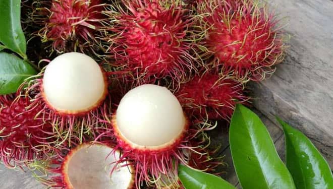 Rambutan dapat Tingkatkan Kualitas Sperma, Ini Manfaat Lainnya