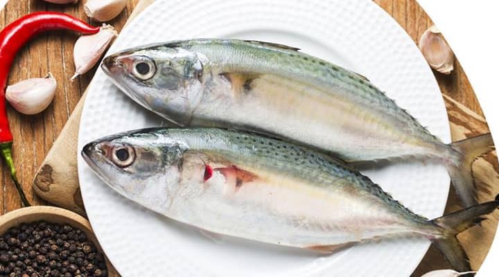 Ikan Kembung, Kandungan Gizinya Mirip Salmon Lho!