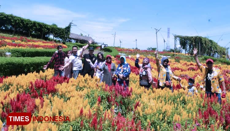 Agrowisata Taman Suruh Banyuwangi, Tawarkan Wisata Sejuk di Tengah Pandemi
