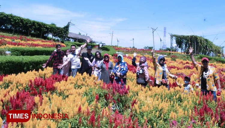 Agrowisata Taman Suruh Banyuwangi, Tawarkan Wisata Sejuk di Tengah Pandemi