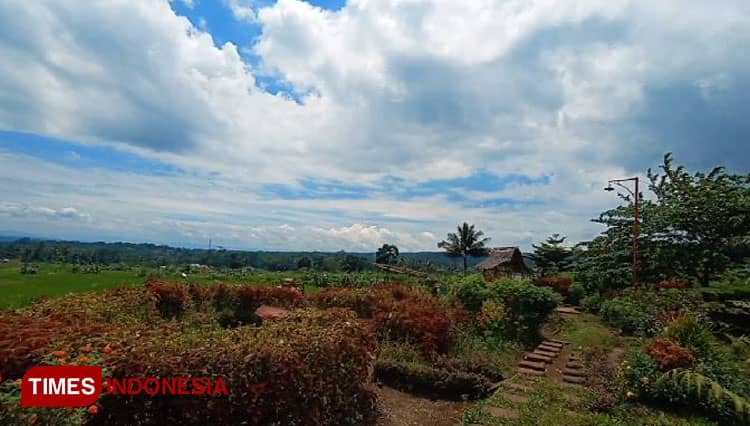 Kampoeng Sawah di Ciamis, Wisata Alam yang Manjakan Pengunjung