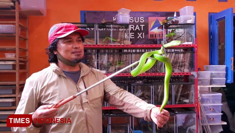 Masyarakat Tasikmalaya Perlu Edukasi Pengenalan dan Penanganan Ular