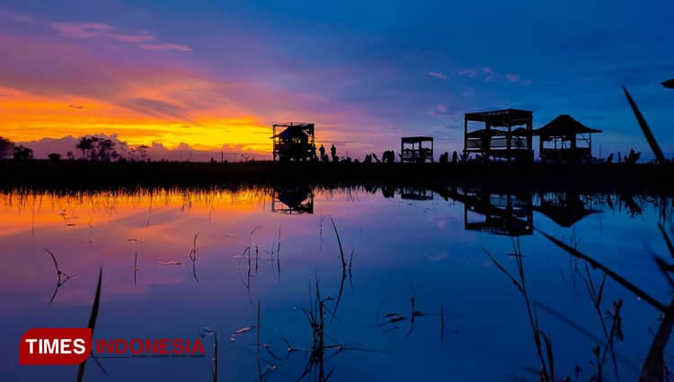 Gubuk Senja Malang Sajikan Latar Perpaduan Sawah dan Langit Biru