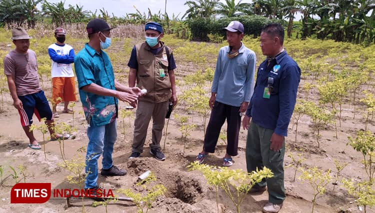 BKSDA Pastikan Telur di Bantaran Bengawan Solo Lamongan Bukan Telur Buaya