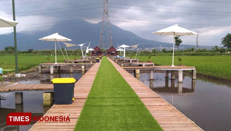 Asyik... Ada Cafe di Tengah Sawah, Gubug Padi Cafe