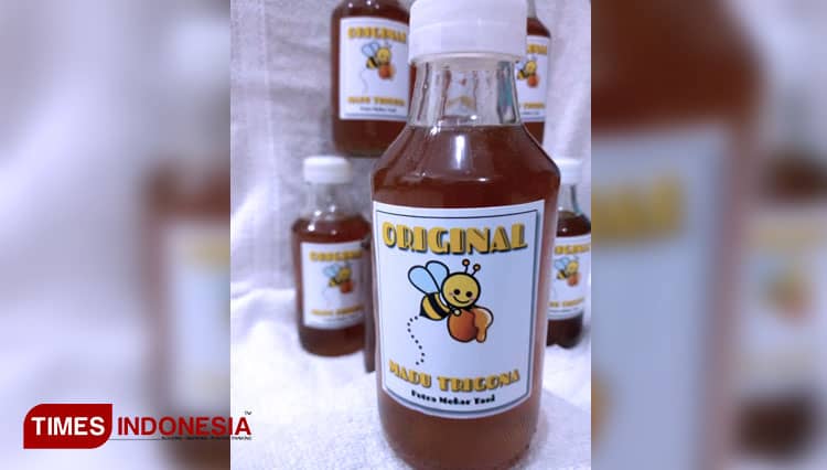 Madu Trigona, Alternatif Penguat Imunitas di Masa Pandemi