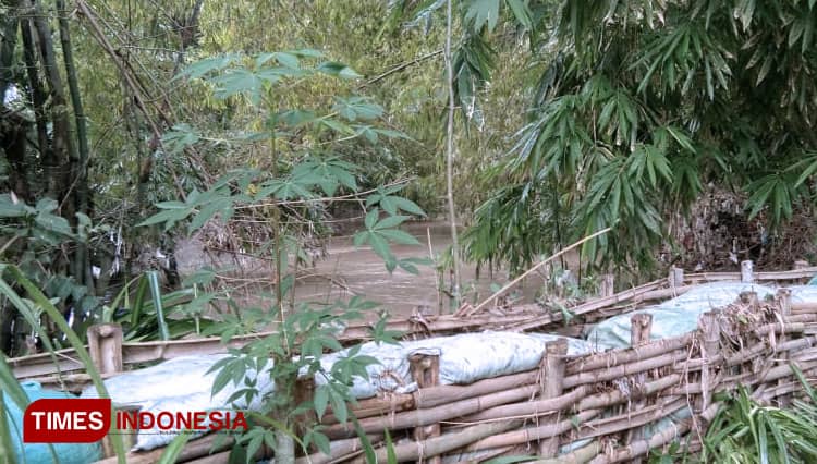 Sepekan Banjir Dua Kali, Warga Desa Kedungmaron Madiun Bikin Tanggul Darurat