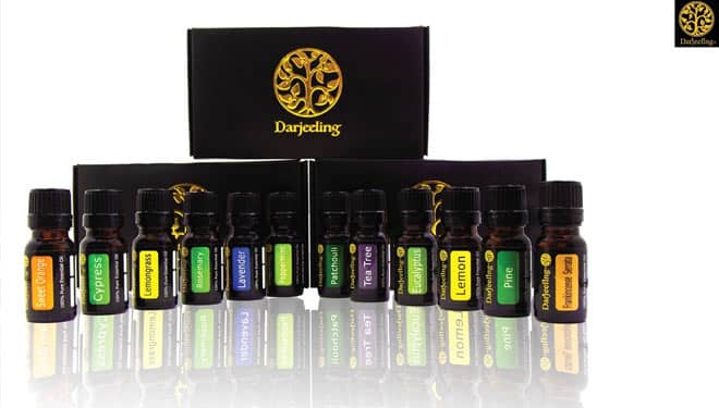 Butuh Aroma Terapi Kesehatan? Ini Solusinya