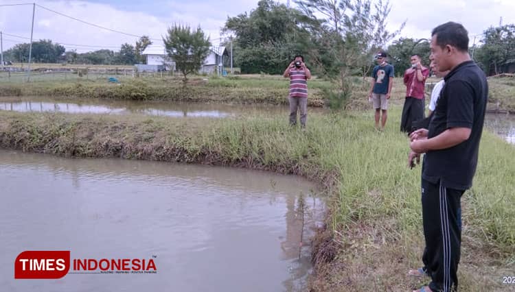 Kades di Madiun Sukses Budidaya Koi di Sawah Bengkok