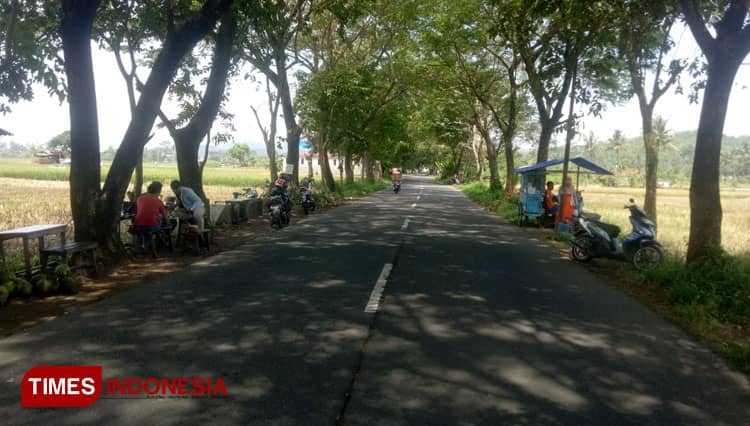 Seruput Es Kelapa Pamongkoran di Tengah Persawahan