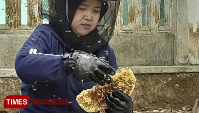 Petani Madu Tasikmalaya Bercita-cita Bangun Wisata Edukasi