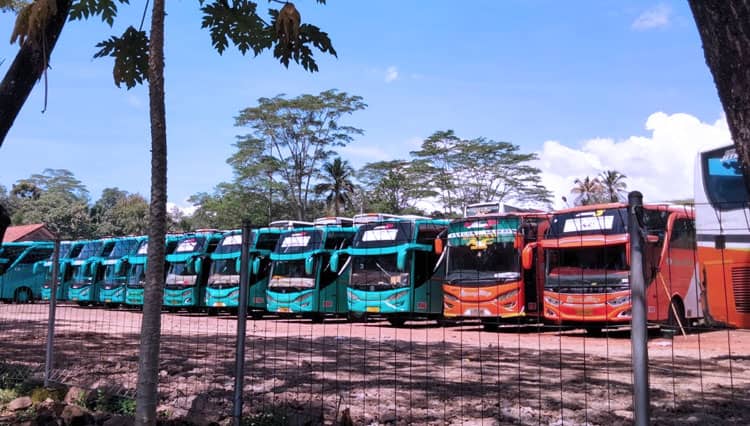 Puluhan Bus Gapuraning Rahayu di Ciamis Mulai Dikandangkan Menjelang Mudik