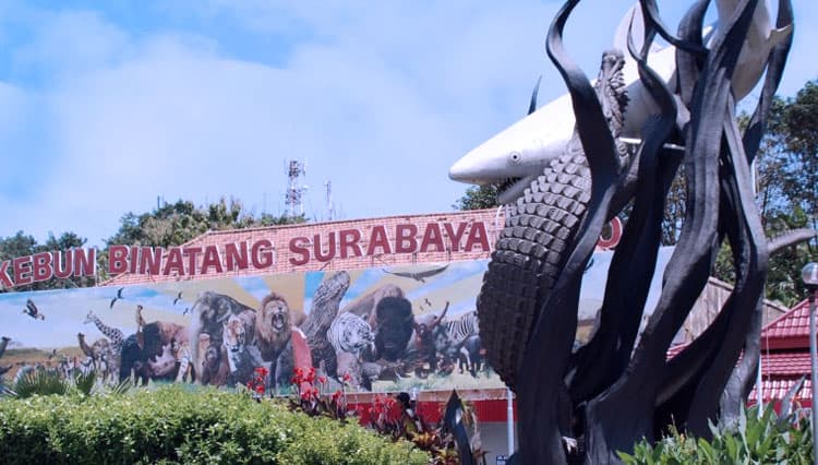 Kebun Binatang Surabaya Pilihan Berwisata di Hari Raya Idul Fitri
