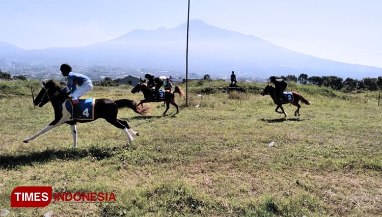 Kendurkan Otot Kuda Balap, Pordasi Kota Batu Gelar Latihan Bersama