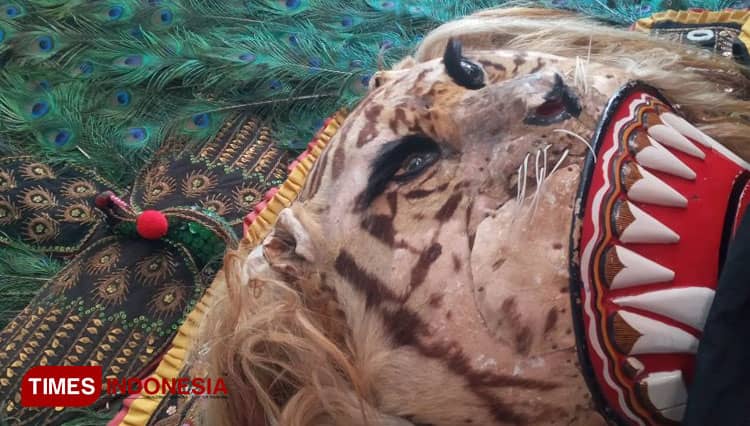 Pemuda Seni Probolinggo Lestarikan Reog melalui Sanggar Seni Mardi Budoyo
