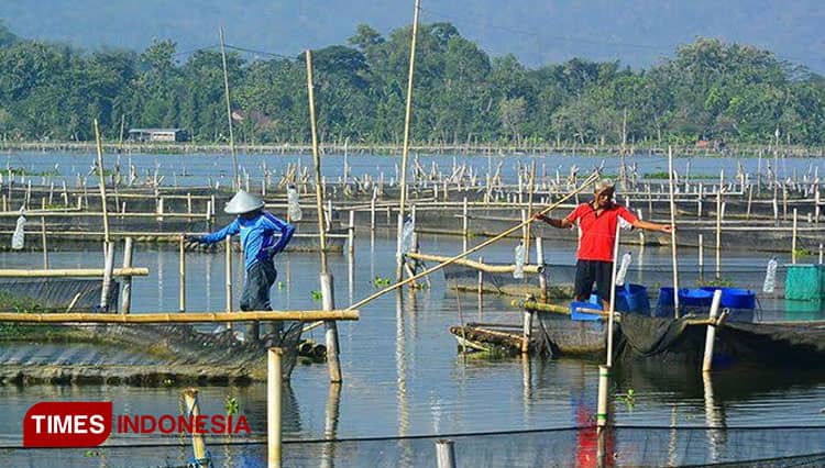Revitalisasi Rawa Jombor Kabupaten Klaten Dimulai Juli