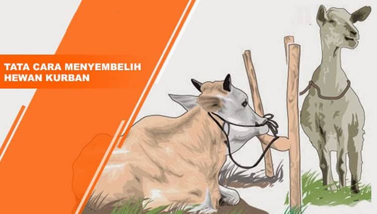 LTMNU Jombang Keluarkan Tata Cara Penyembelihan Kurban di Masa Pandemi